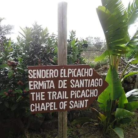 El Picacho In The Countryside 2 Km From The アパート テヒーナ