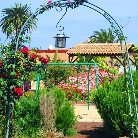アパート El Picacho In The Countryside 2 Km From The テヒーナ