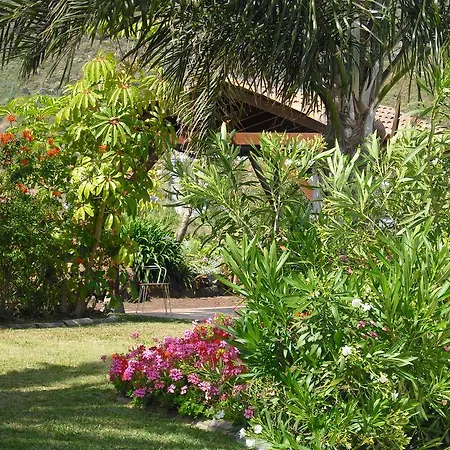 アパート El Picacho In The Countryside 2 Km From The